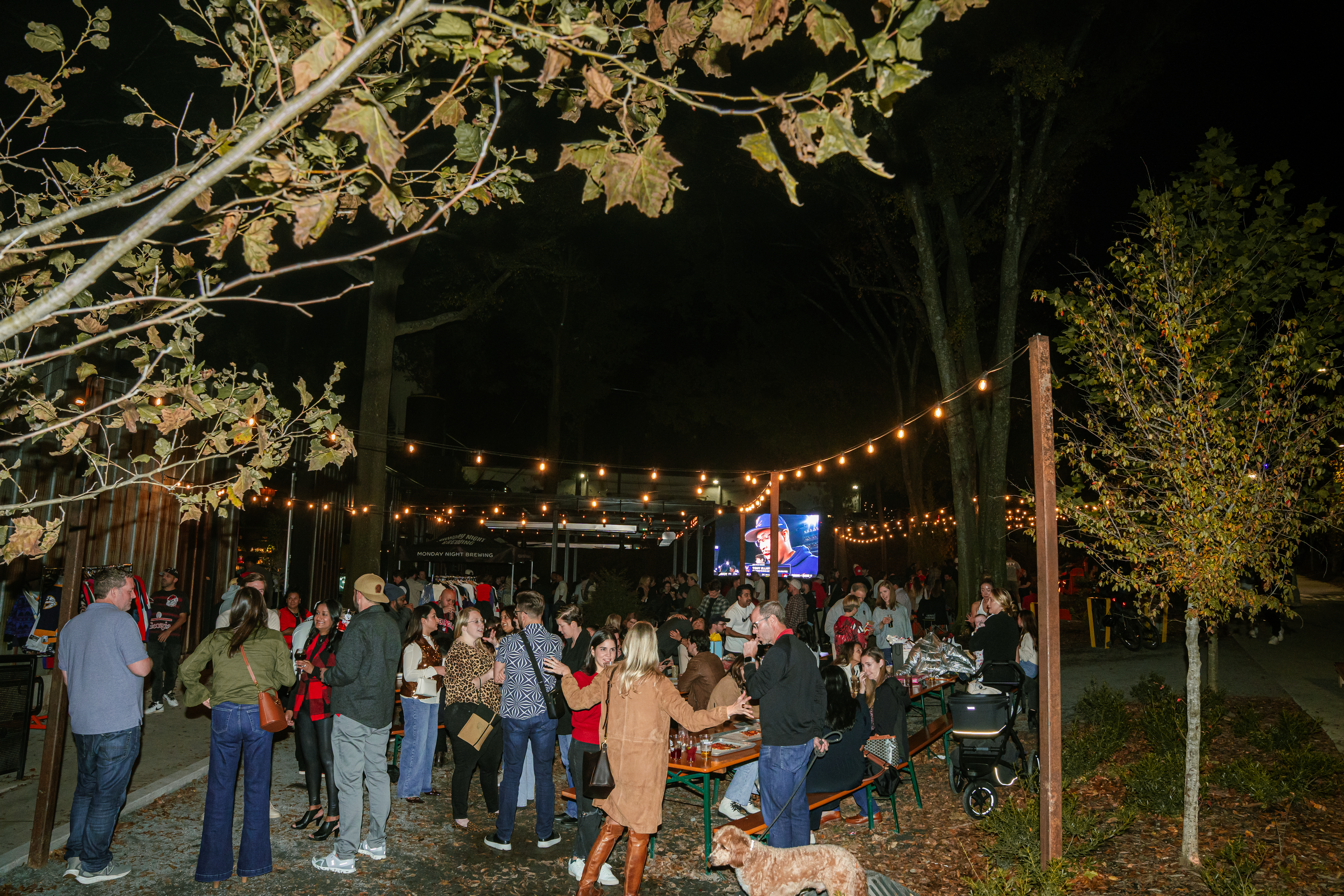 The Grove exterior at night